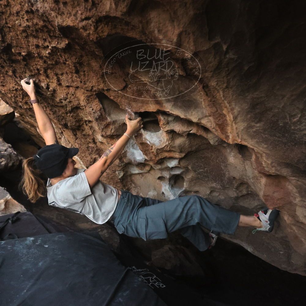 Filename: SRM_20251126_1718570.jpg
Aperture: f/4.0
Shutter Speed: 1/250
Body: Canon EOS R6
Lens: Canon EF 16-35mm f/2.8 L