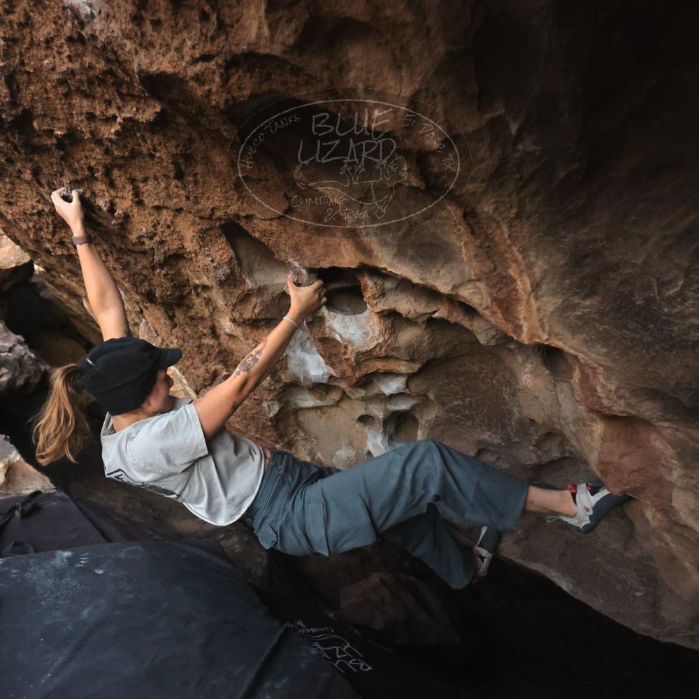 

Filename: SRM_20251126_1718571.jpg
Aperture: f/4.0
Shutter Speed: 1/250
Body: Canon EOS R6
Lens: Canon EF 16-35mm f/2.8 L