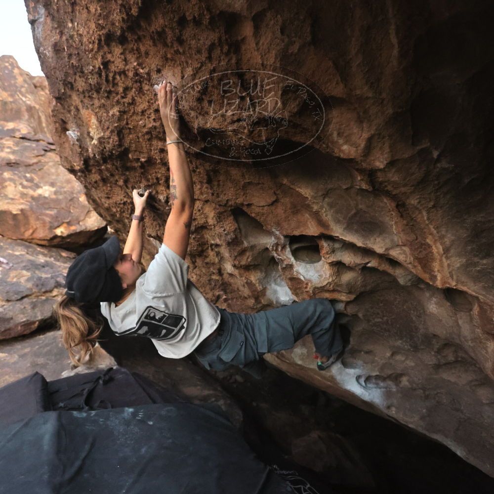 Filename: SRM_20251126_1719000.jpg
Aperture: f/4.0
Shutter Speed: 1/250
Body: Canon EOS R6
Lens: Canon EF 16-35mm f/2.8 L