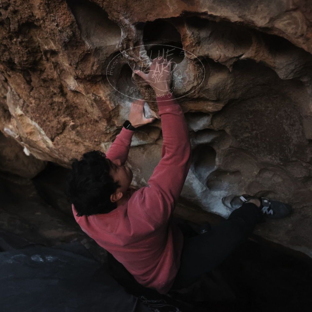 

Filename: SRM_20251126_1721190.jpg
Aperture: f/4.0
Shutter Speed: 1/250
Body: Canon EOS R6
Lens: Canon EF 16-35mm f/2.8 L