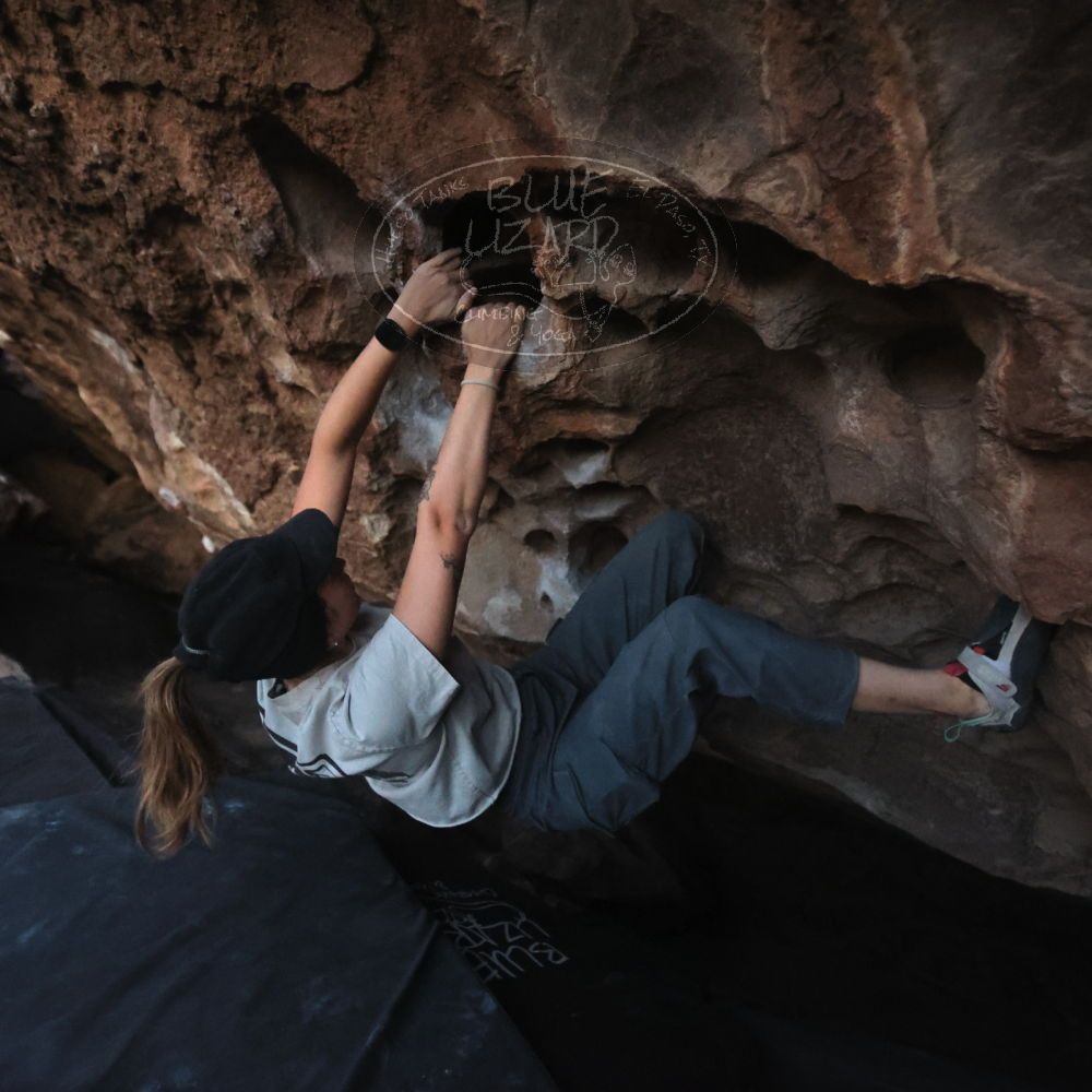 Filename: SRM_20251126_1723070.jpg
Aperture: f/2.8
Shutter Speed: 1/250
Body: Canon EOS R6
Lens: Canon EF 16-35mm f/2.8 L