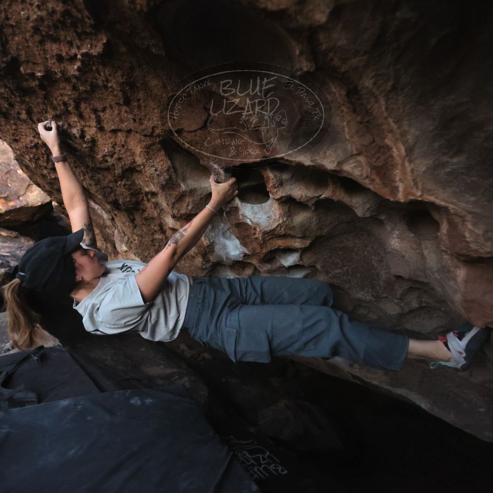 

Filename: SRM_20251126_1723150.jpg
Aperture: f/2.8
Shutter Speed: 1/250
Body: Canon EOS R6
Lens: Canon EF 16-35mm f/2.8 L