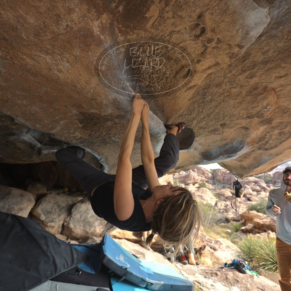 

Filename: SRM_20251128_1119490.jpg
Aperture: f/4.0
Shutter Speed: 1/250
Body: Canon EOS R6
Lens: Canon EF 16-35mm f/2.8 L