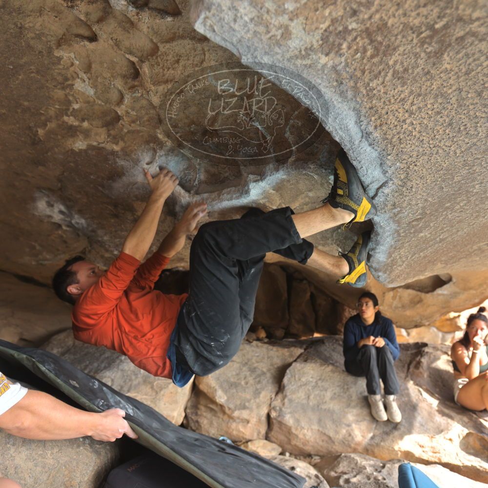 

Filename: SRM_20251128_1122110.jpg
Aperture: f/2.8
Shutter Speed: 1/250
Body: Canon EOS R6
Lens: Canon EF 16-35mm f/2.8 L