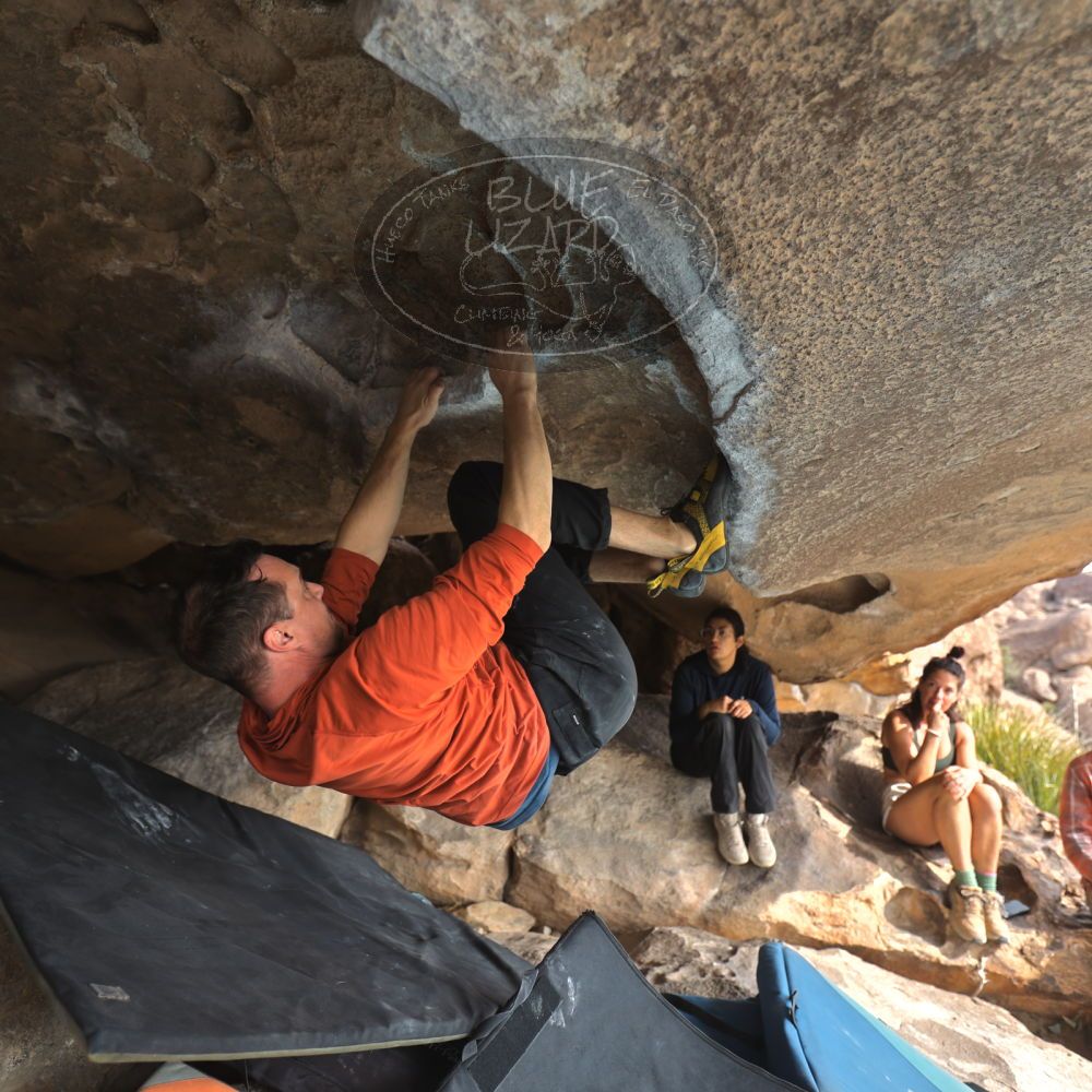 

Filename: SRM_20251128_1122130.jpg
Aperture: f/3.2
Shutter Speed: 1/250
Body: Canon EOS R6
Lens: Canon EF 16-35mm f/2.8 L