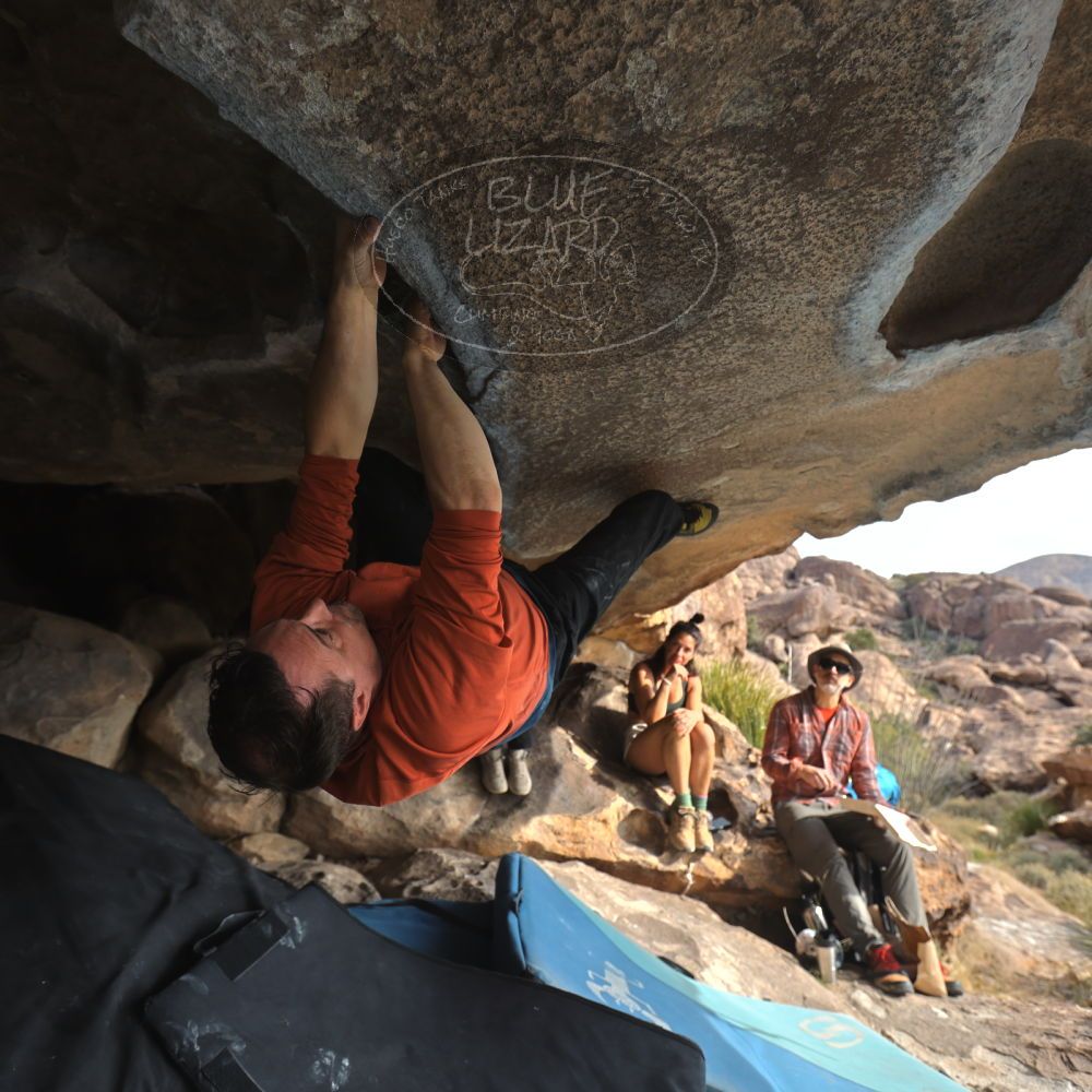 Filename: SRM_20251128_1122200.jpg
Aperture: f/4.0
Shutter Speed: 1/400
Body: Canon EOS R6
Lens: Canon EF 16-35mm f/2.8 L