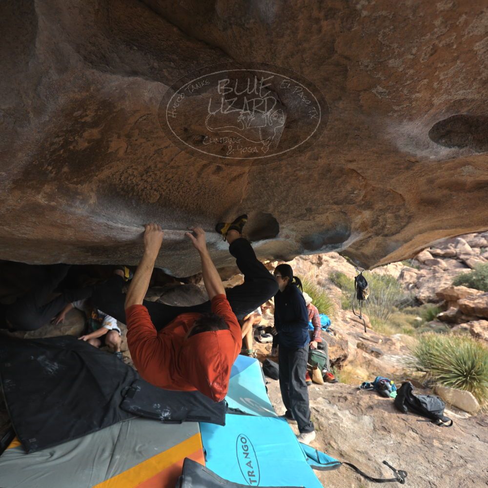 

Filename: SRM_20251128_1128290.jpg
Aperture: f/4.0
Shutter Speed: 1/400
Body: Canon EOS R6
Lens: Canon EF 16-35mm f/2.8 L