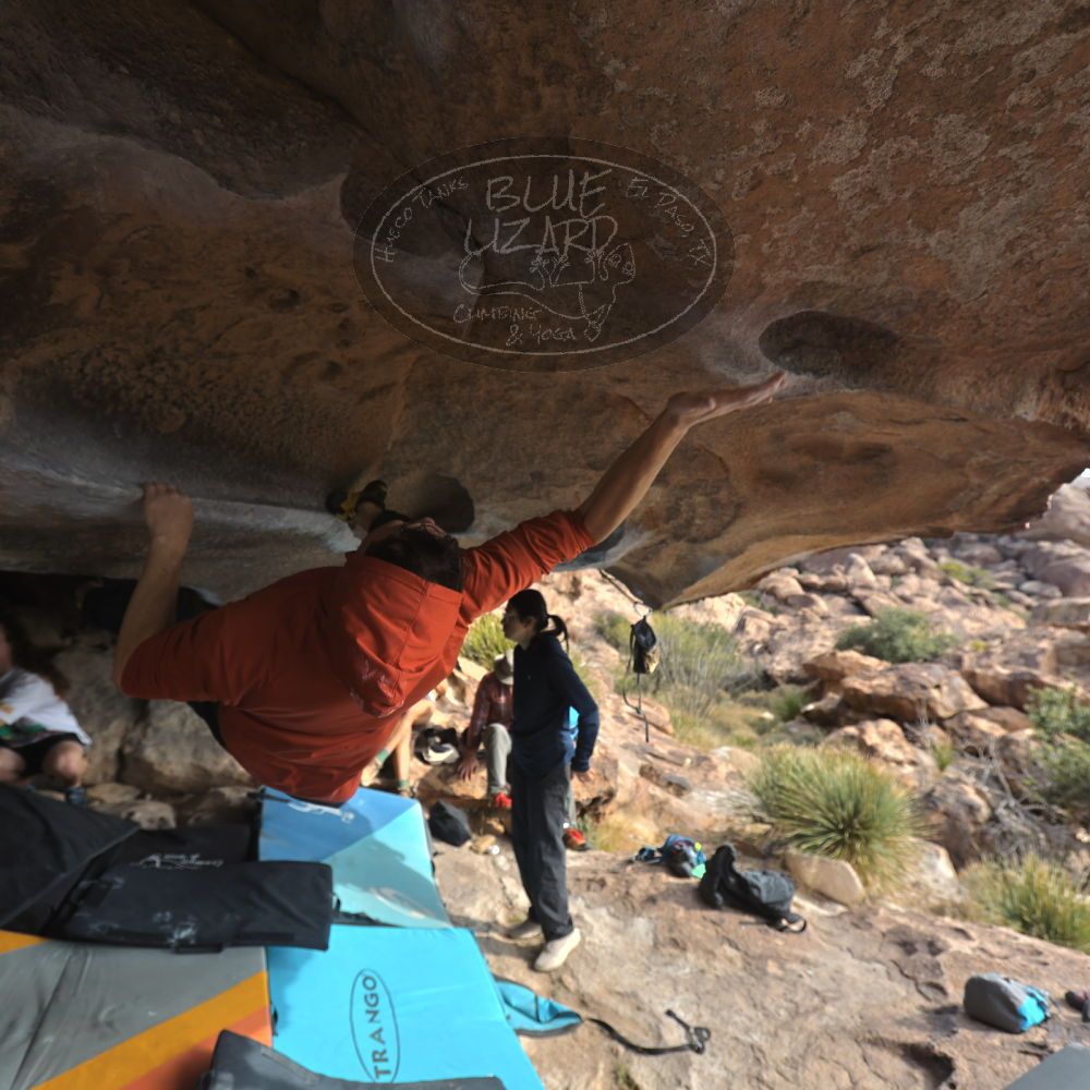 

Filename: SRM_20251128_1128300.jpg
Aperture: f/4.0
Shutter Speed: 1/400
Body: Canon EOS R6
Lens: Canon EF 16-35mm f/2.8 L