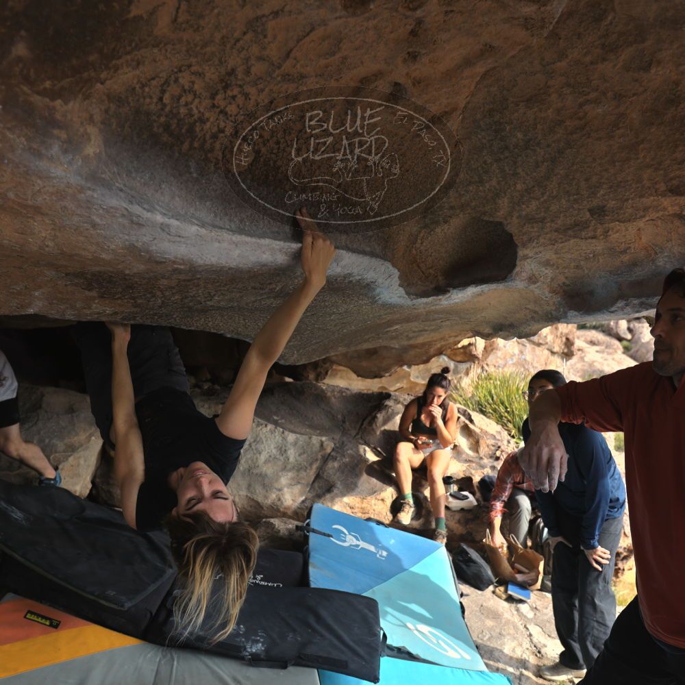 Filename: SRM_20251128_1128530.jpg
Aperture: f/4.0
Shutter Speed: 1/400
Body: Canon EOS R6
Lens: Canon EF 16-35mm f/2.8 L