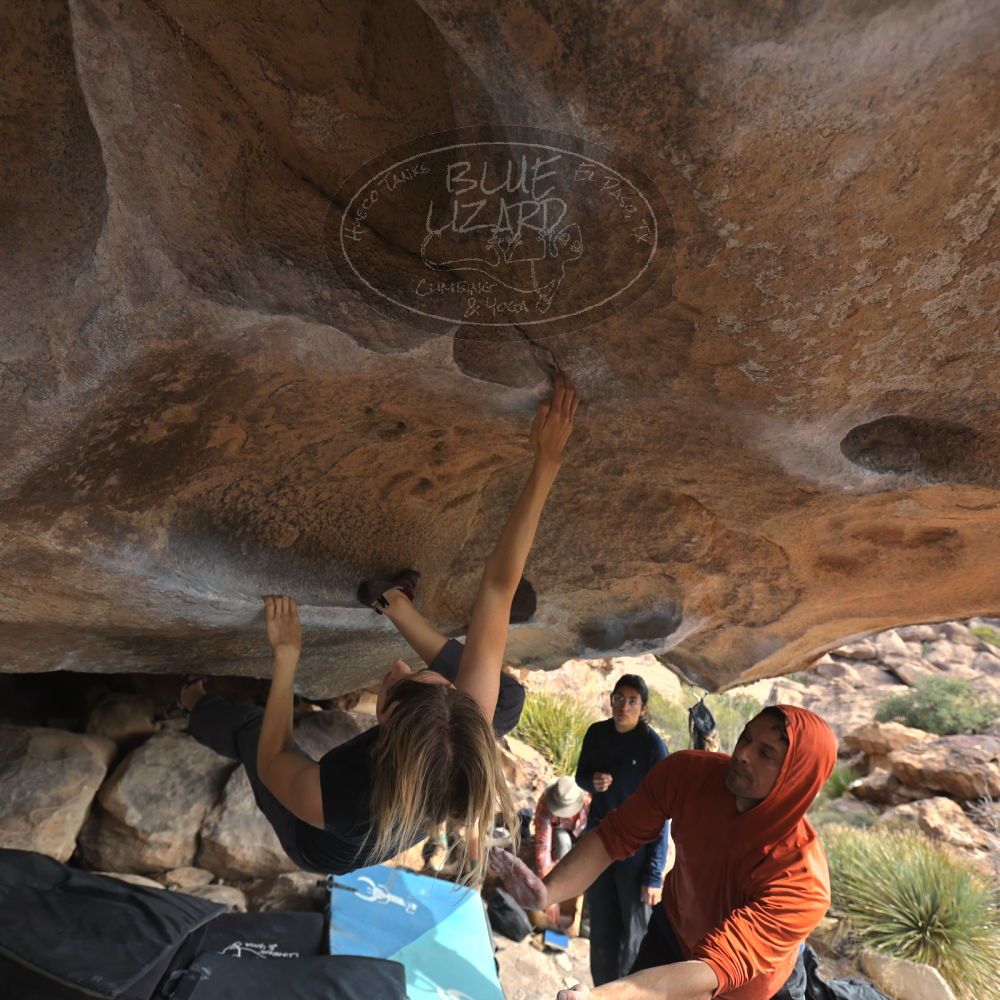 

Filename: SRM_20251128_1129040.jpg
Aperture: f/4.0
Shutter Speed: 1/400
Body: Canon EOS R6
Lens: Canon EF 16-35mm f/2.8 L