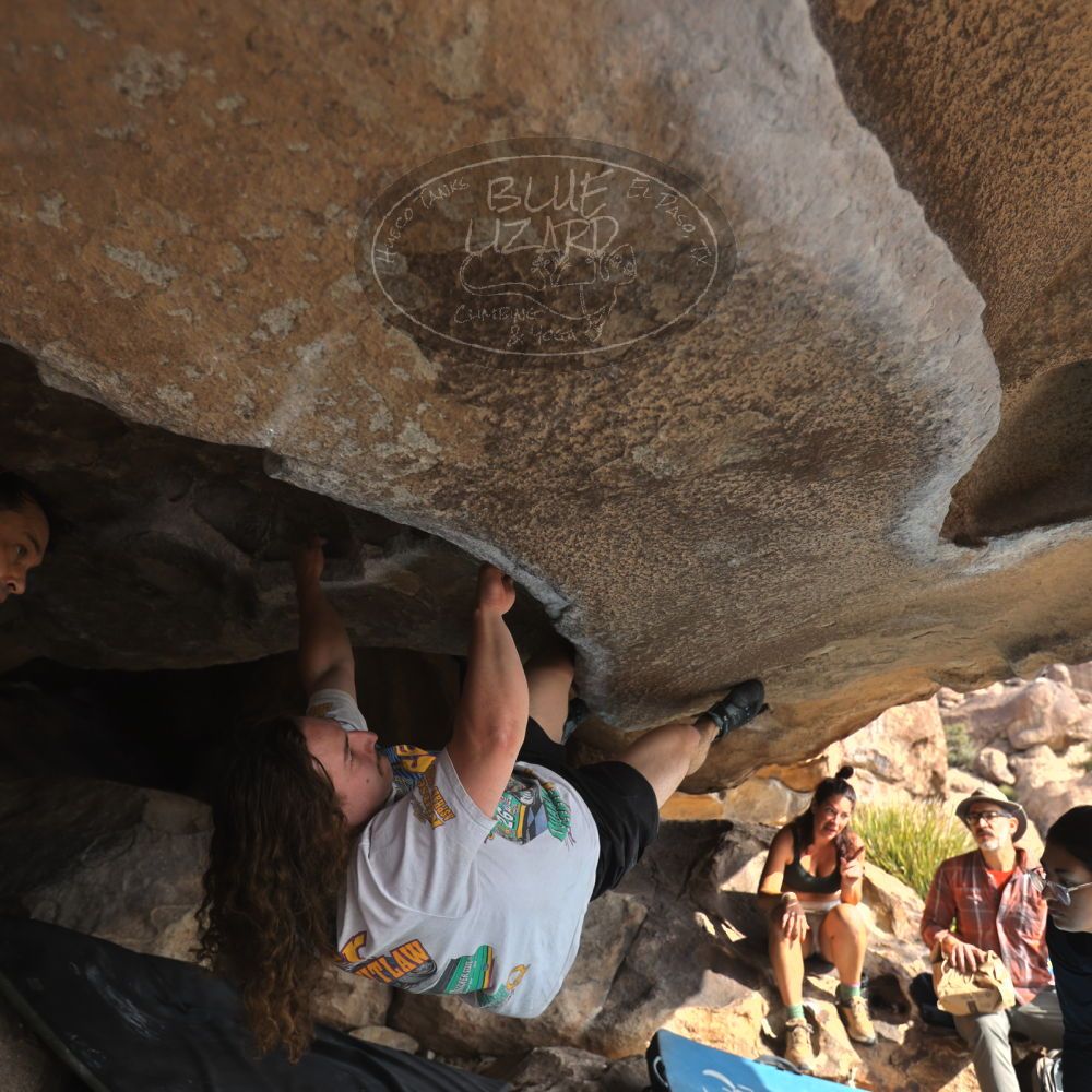 

Filename: SRM_20251128_1131300.jpg
Aperture: f/4.0
Shutter Speed: 1/400
Body: Canon EOS R6
Lens: Canon EF 16-35mm f/2.8 L