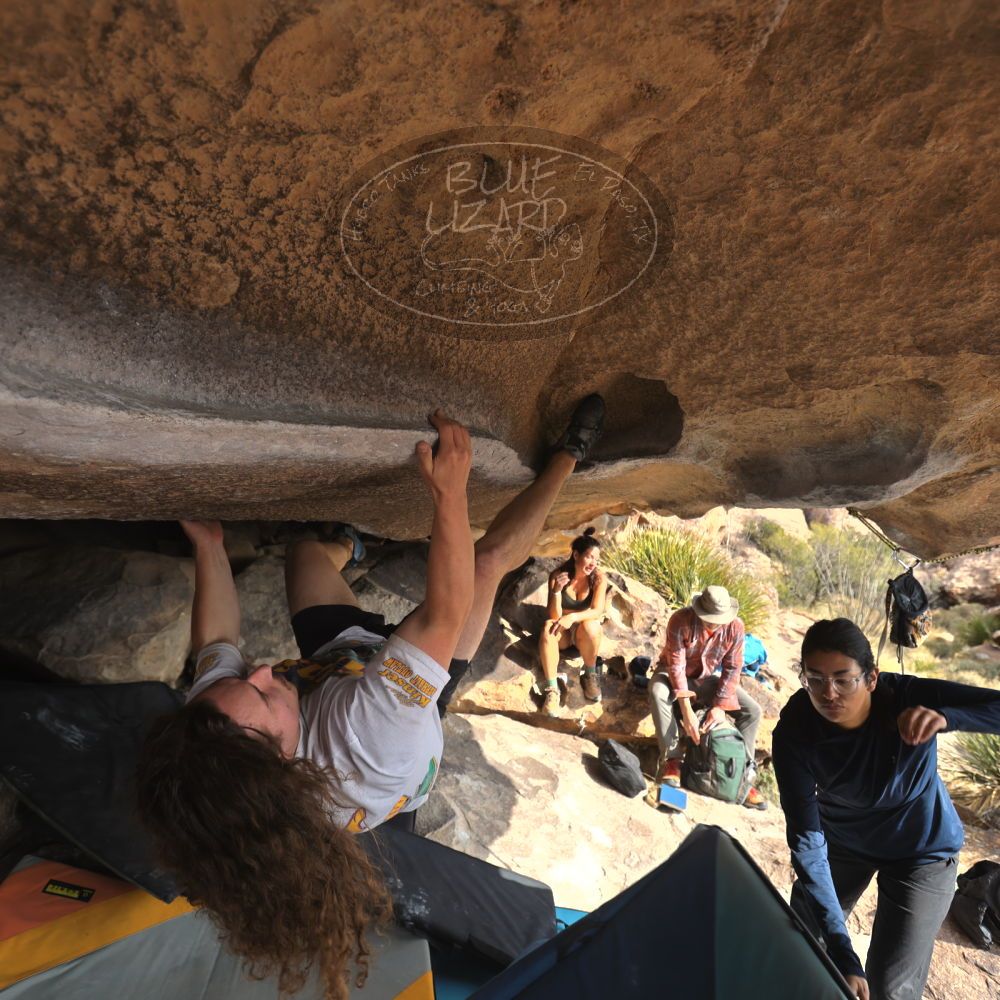 

Filename: SRM_20251128_1131370.jpg
Aperture: f/4.0
Shutter Speed: 1/400
Body: Canon EOS R6
Lens: Canon EF 16-35mm f/2.8 L