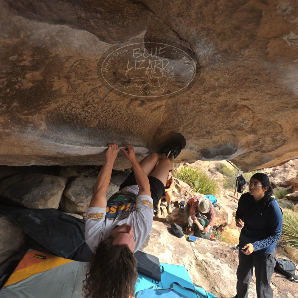 

Filename: SRM_20251128_1131500.jpg
Aperture: f/4.0
Shutter Speed: 1/400
Body: Canon EOS R6
Lens: Canon EF 16-35mm f/2.8 L