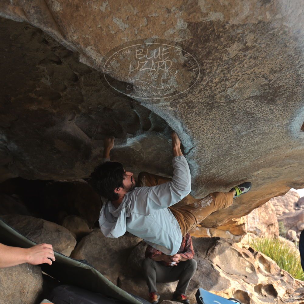 

Filename: SRM_20251128_1136520.jpg
Aperture: f/4.0
Shutter Speed: 1/400
Body: Canon EOS R6
Lens: Canon EF 16-35mm f/2.8 L