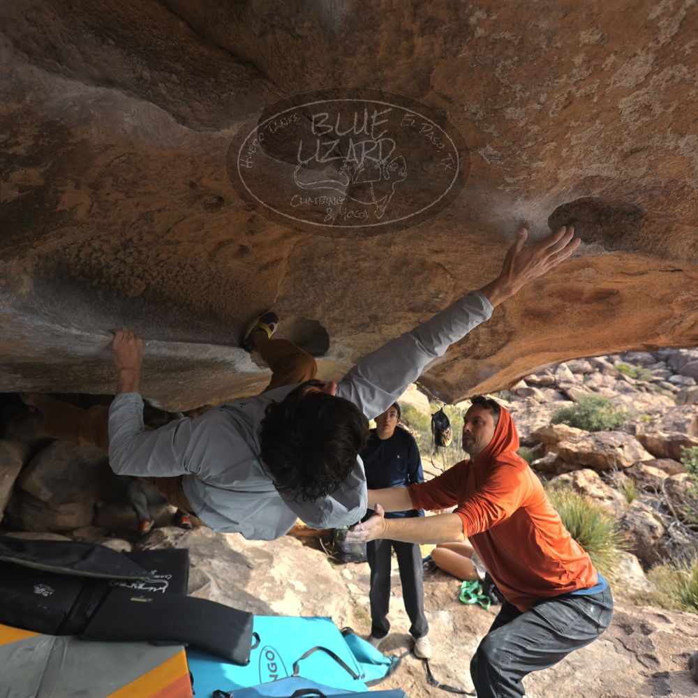 

Filename: SRM_20251128_1137320.jpg
Aperture: f/4.0
Shutter Speed: 1/400
Body: Canon EOS R6
Lens: Canon EF 16-35mm f/2.8 L