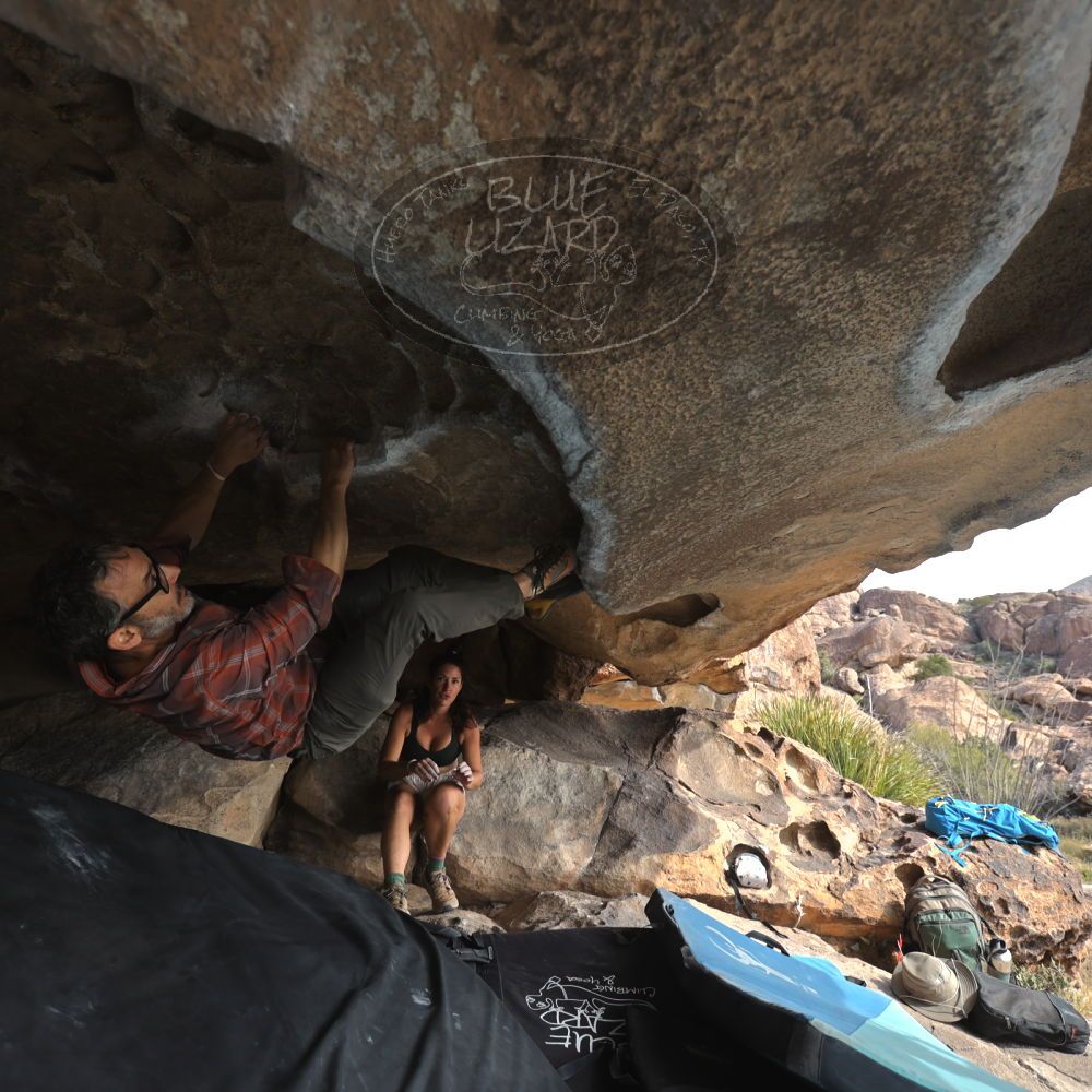 

Filename: SRM_20251128_1143490.jpg
Aperture: f/4.0
Shutter Speed: 1/400
Body: Canon EOS R6
Lens: Canon EF 16-35mm f/2.8 L