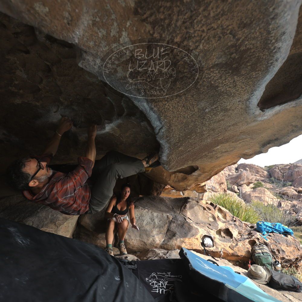 

Filename: SRM_20251128_1143491.jpg
Aperture: f/4.0
Shutter Speed: 1/400
Body: Canon EOS R6
Lens: Canon EF 16-35mm f/2.8 L