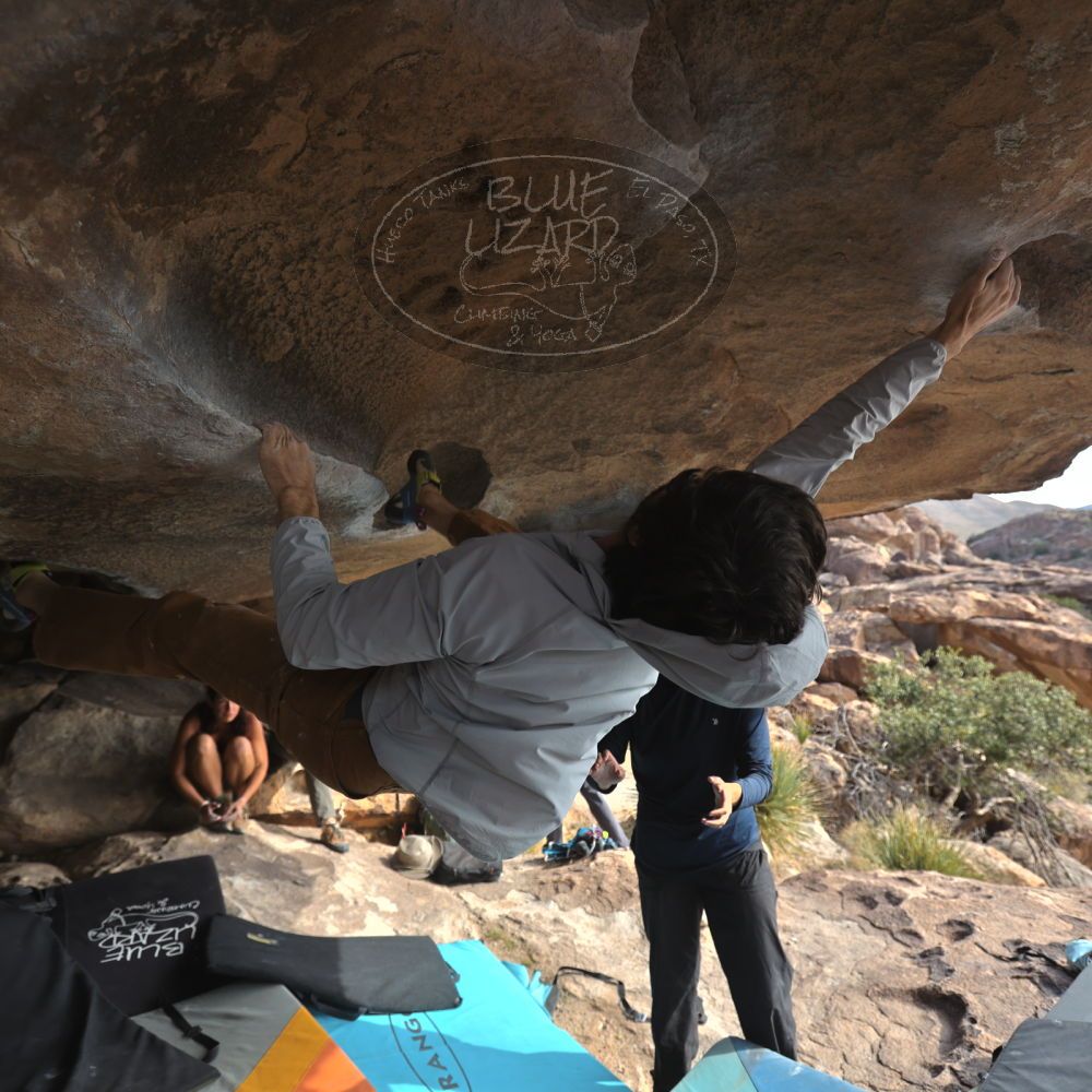 

Filename: SRM_20251128_1148080.jpg
Aperture: f/4.0
Shutter Speed: 1/400
Body: Canon EOS R6
Lens: Canon EF 16-35mm f/2.8 L