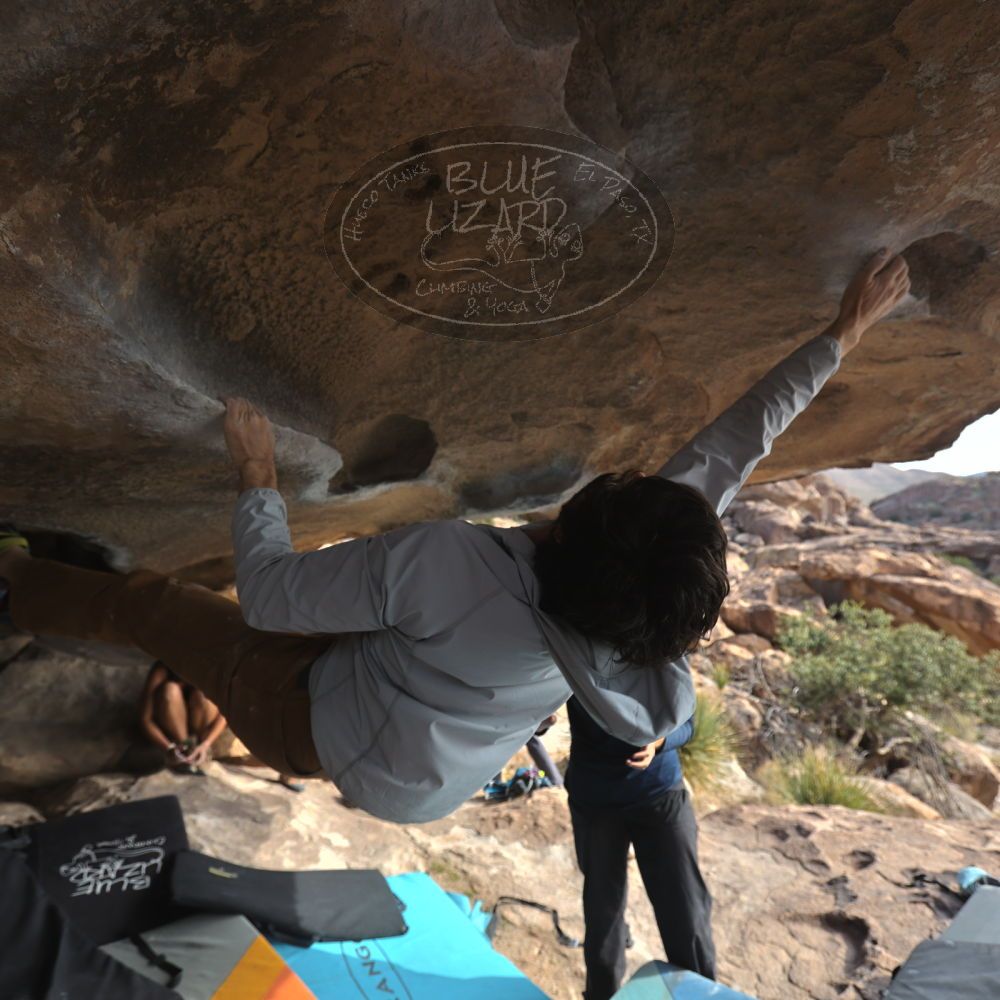 

Filename: SRM_20251128_1148081.jpg
Aperture: f/4.0
Shutter Speed: 1/400
Body: Canon EOS R6
Lens: Canon EF 16-35mm f/2.8 L