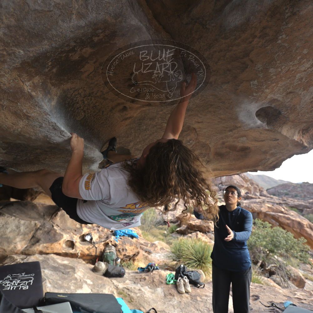 

Filename: SRM_20251128_1152080.jpg
Aperture: f/4.0
Shutter Speed: 1/400
Body: Canon EOS R6
Lens: Canon EF 16-35mm f/2.8 L