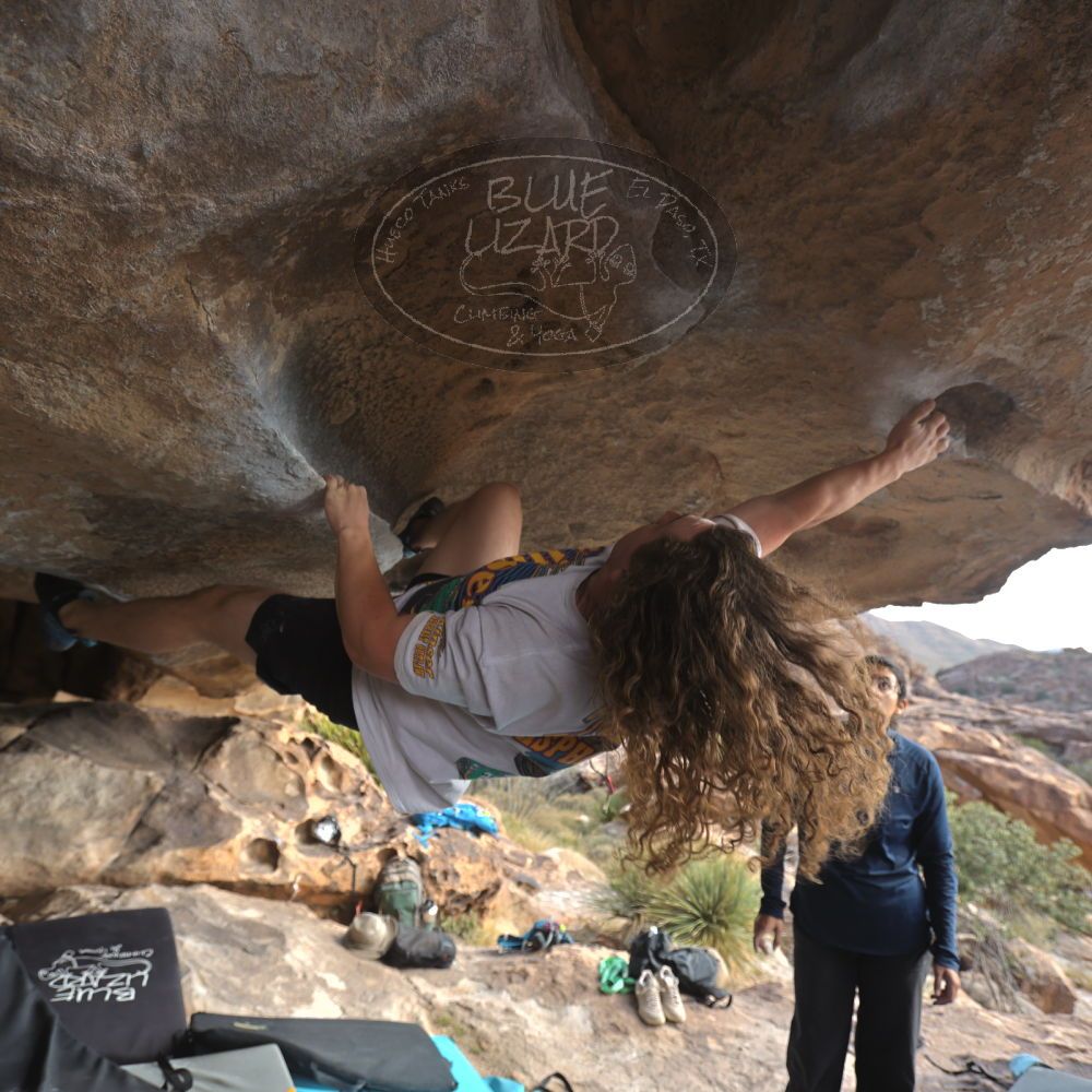 

Filename: SRM_20251128_1152110.jpg
Aperture: f/4.0
Shutter Speed: 1/400
Body: Canon EOS R6
Lens: Canon EF 16-35mm f/2.8 L