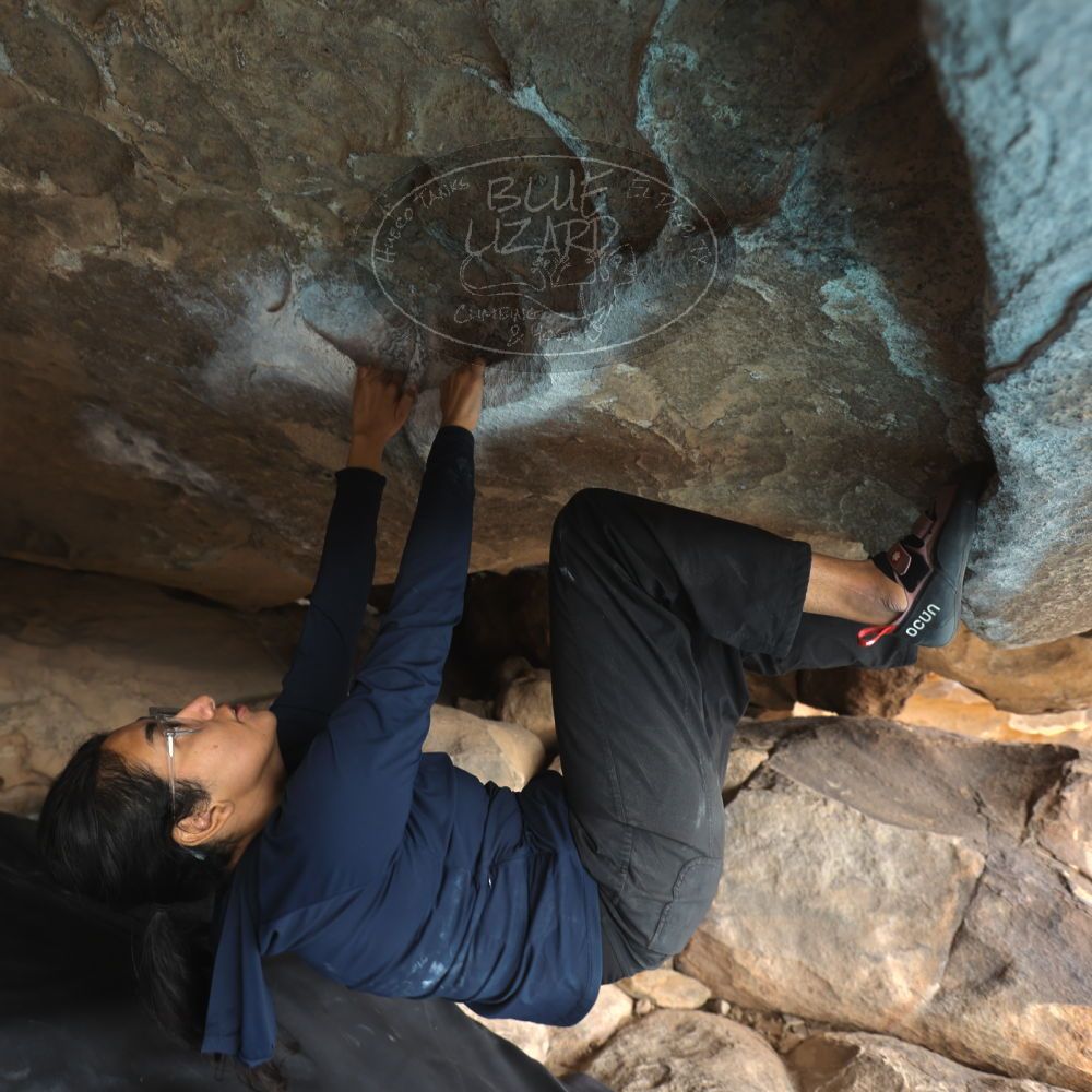 Filename: SRM_20251128_1154400.jpg
Aperture: f/4.0
Shutter Speed: 1/100
Body: Canon EOS R6
Lens: Canon EF 16-35mm f/2.8 L