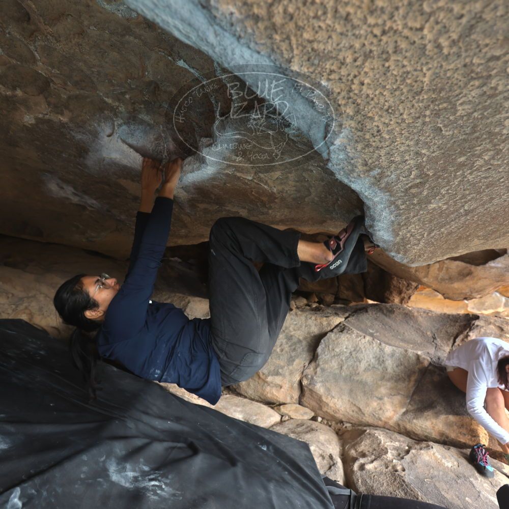 

Filename: SRM_20251128_1158370.jpg
Aperture: f/4.0
Shutter Speed: 1/100
Body: Canon EOS R6
Lens: Canon EF 16-35mm f/2.8 L