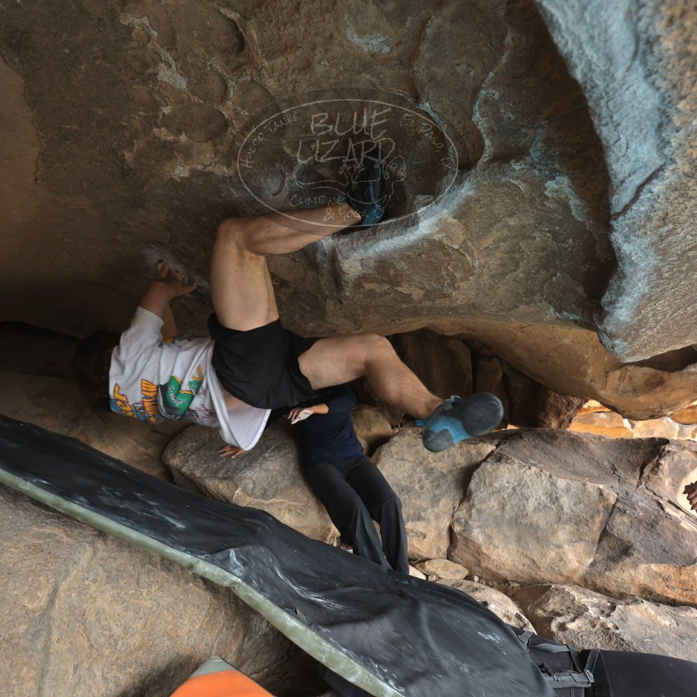 

Filename: SRM_20251128_1159380.jpg
Aperture: f/4.0
Shutter Speed: 1/125
Body: Canon EOS R6
Lens: Canon EF 16-35mm f/2.8 L