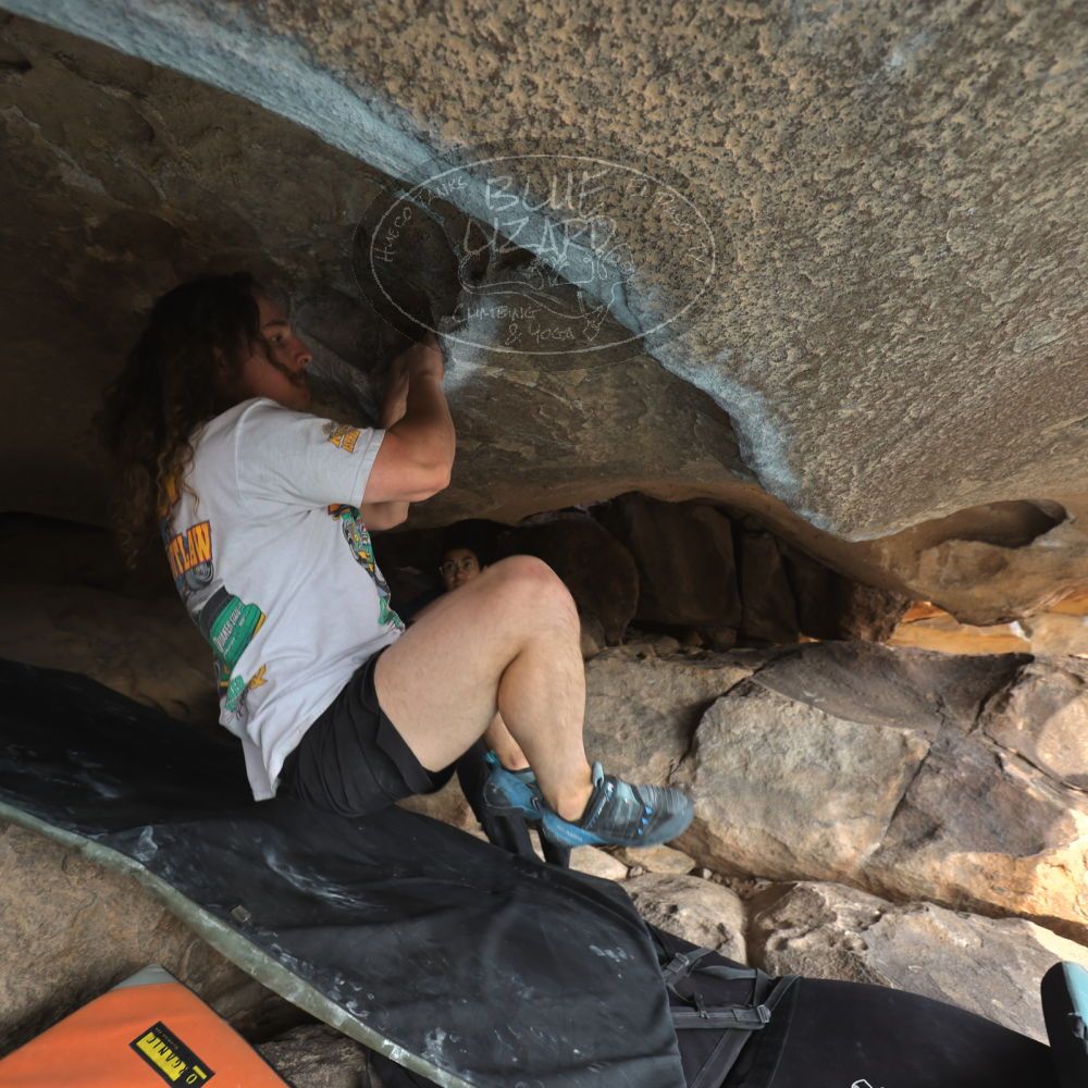 Filename: SRM_20251128_1159440.jpg
Aperture: f/4.0
Shutter Speed: 1/200
Body: Canon EOS R6
Lens: Canon EF 16-35mm f/2.8 L