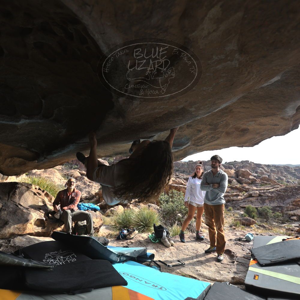 

Filename: SRM_20251128_1159560.jpg
Aperture: f/4.0
Shutter Speed: 1/500
Body: Canon EOS R6
Lens: Canon EF 16-35mm f/2.8 L