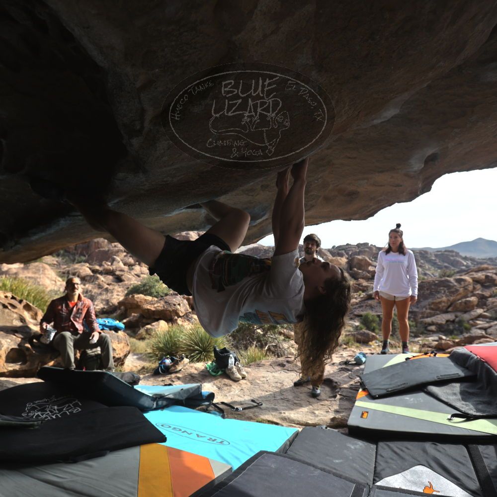 Filename: SRM_20251128_1200050.jpg
Aperture: f/4.0
Shutter Speed: 1/640
Body: Canon EOS R6
Lens: Canon EF 16-35mm f/2.8 L