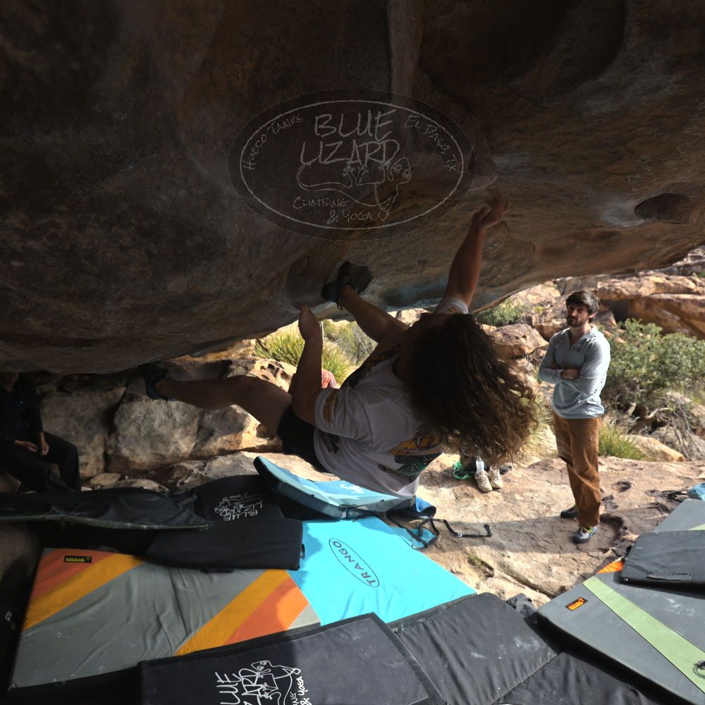 

Filename: SRM_20251128_1200150.jpg
Aperture: f/4.0
Shutter Speed: 1/500
Body: Canon EOS R6
Lens: Canon EF 16-35mm f/2.8 L