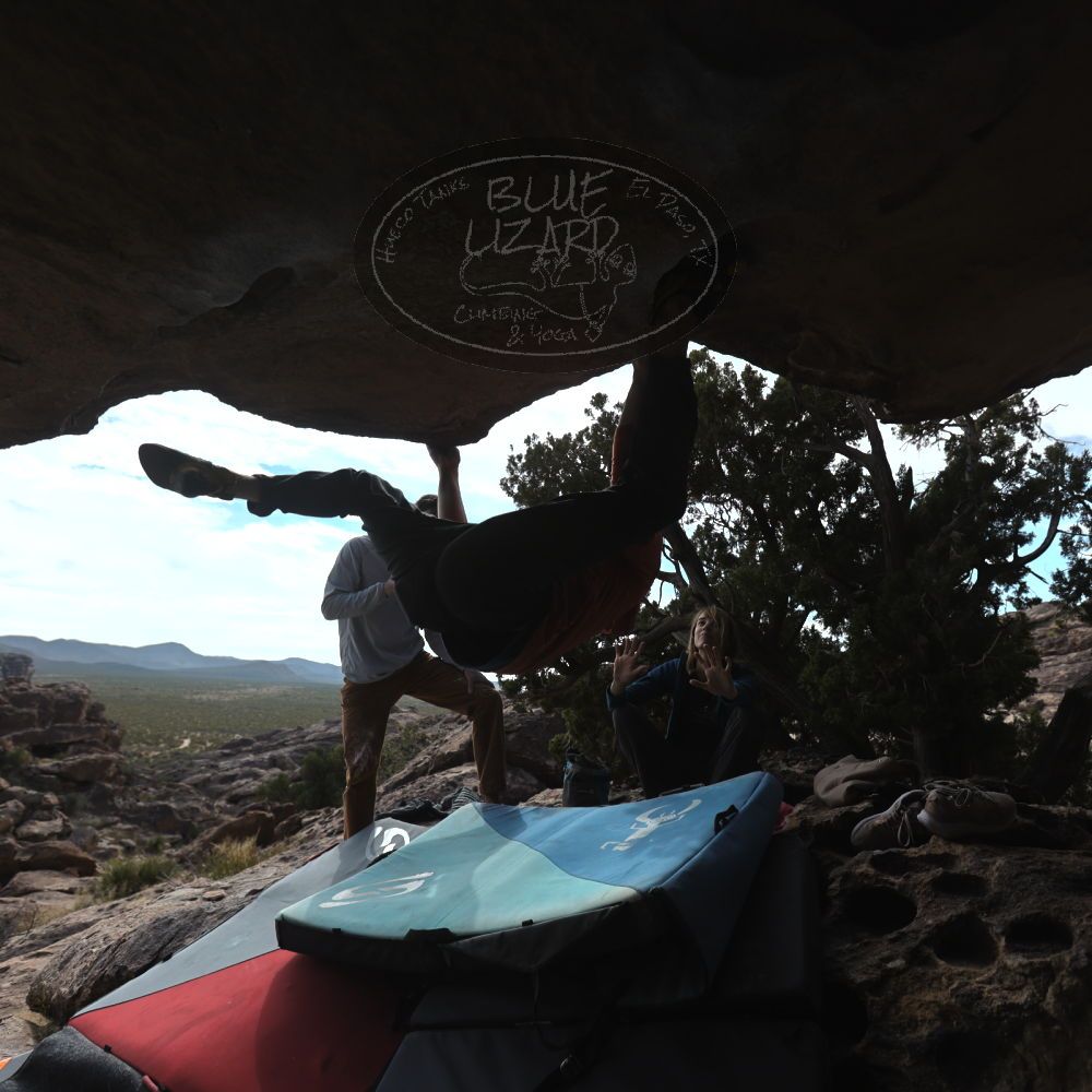 

Filename: SRM_20251128_1203330.jpg
Aperture: f/4.0
Shutter Speed: 1/1250
Body: Canon EOS R6
Lens: Canon EF 16-35mm f/2.8 L