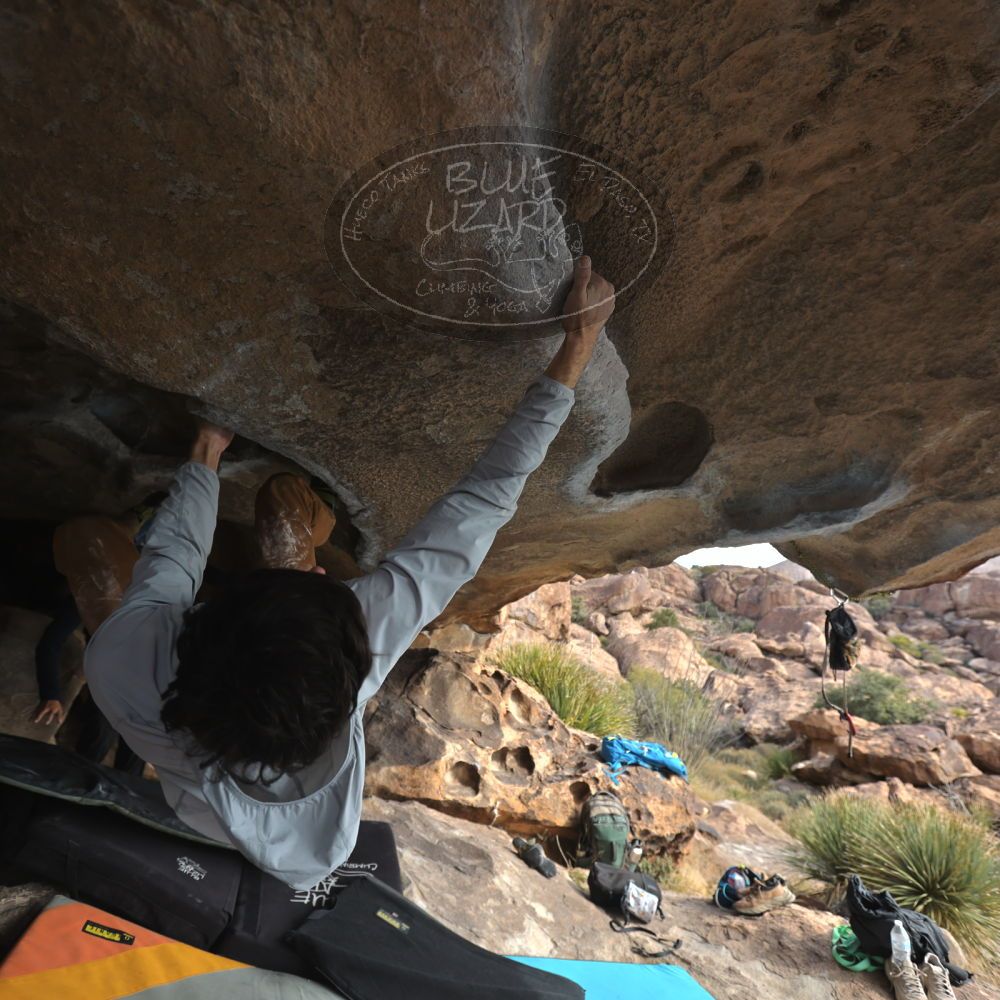 

Filename: SRM_20251128_1209280.jpg
Aperture: f/4.0
Shutter Speed: 1/320
Body: Canon EOS R6
Lens: Canon EF 16-35mm f/2.8 L