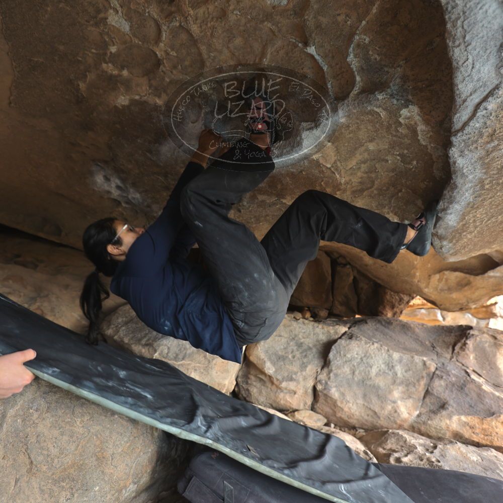 

Filename: SRM_20251128_1215010.jpg
Aperture: f/4.0
Shutter Speed: 1/80
Body: Canon EOS R6
Lens: Canon EF 16-35mm f/2.8 L