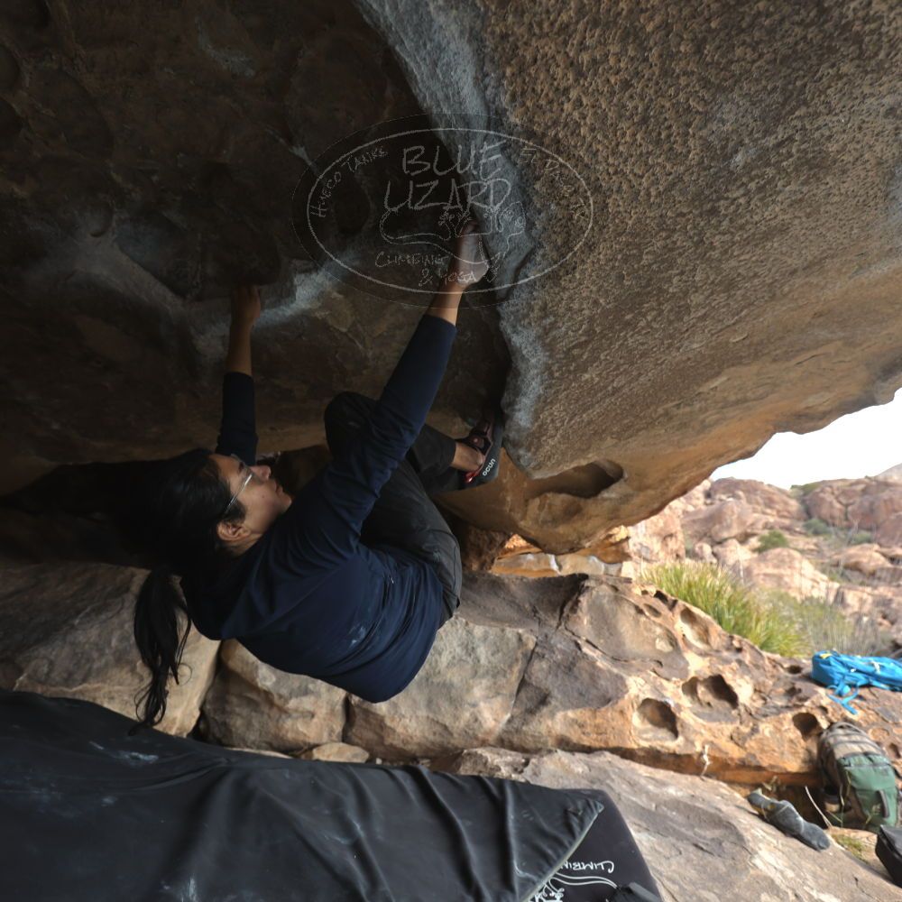 

Filename: SRM_20251128_1215130.jpg
Aperture: f/4.0
Shutter Speed: 1/160
Body: Canon EOS R6
Lens: Canon EF 16-35mm f/2.8 L