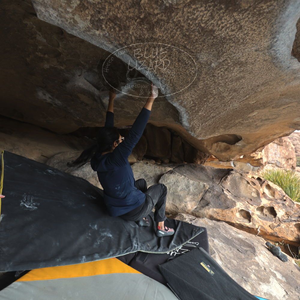 Filename: SRM_20251128_1215170.jpg
Aperture: f/4.0
Shutter Speed: 1/160
Body: Canon EOS R6
Lens: Canon EF 16-35mm f/2.8 L