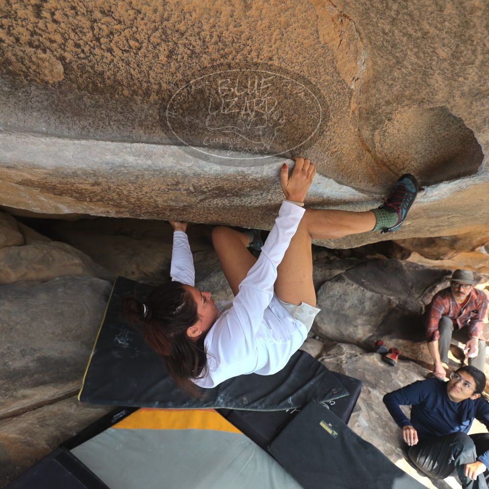 

Filename: SRM_20251128_1220110.jpg
Aperture: f/4.0
Shutter Speed: 1/320
Body: Canon EOS R6
Lens: Canon EF 16-35mm f/2.8 L