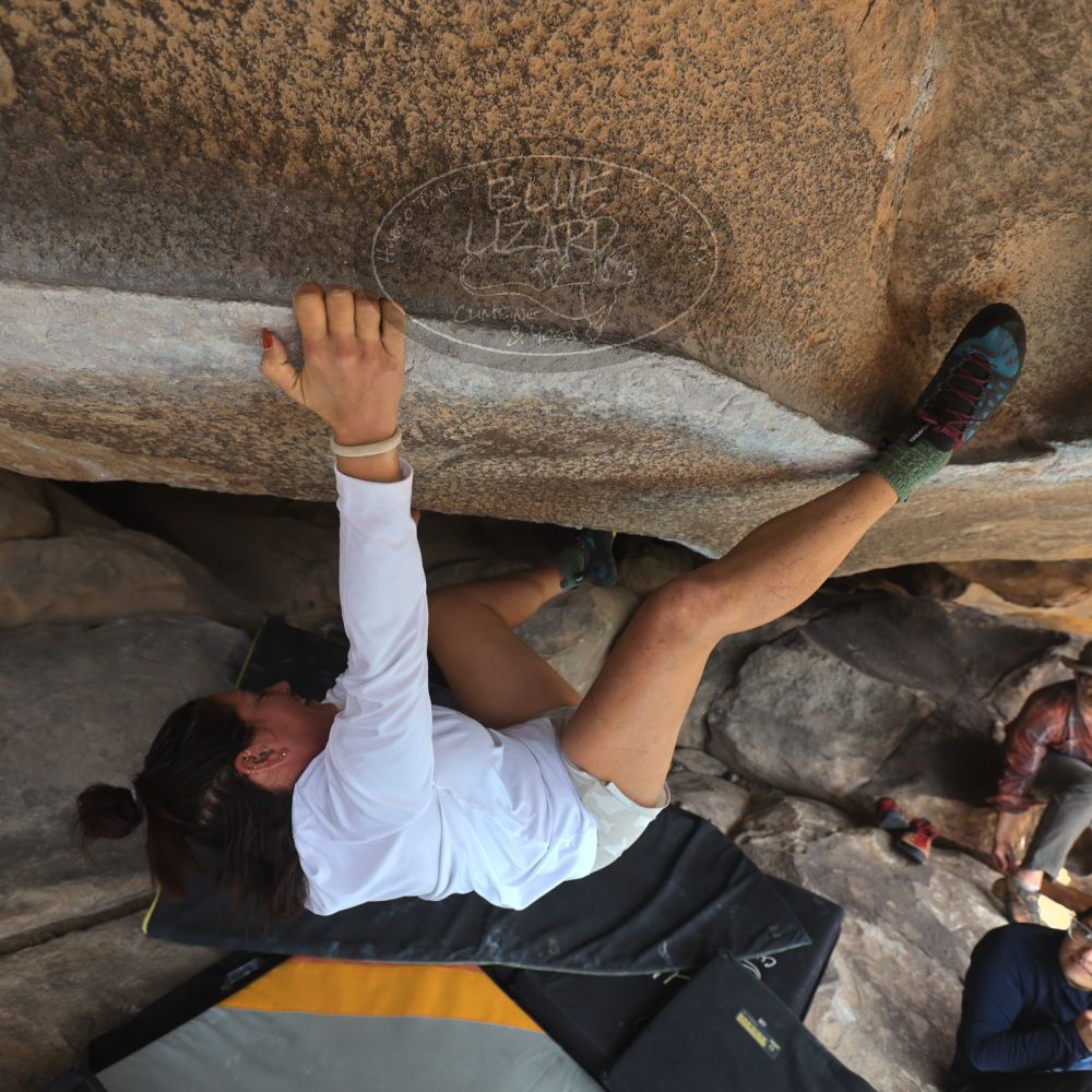 

Filename: SRM_20251128_1220260.jpg
Aperture: f/4.0
Shutter Speed: 1/400
Body: Canon EOS R6
Lens: Canon EF 16-35mm f/2.8 L