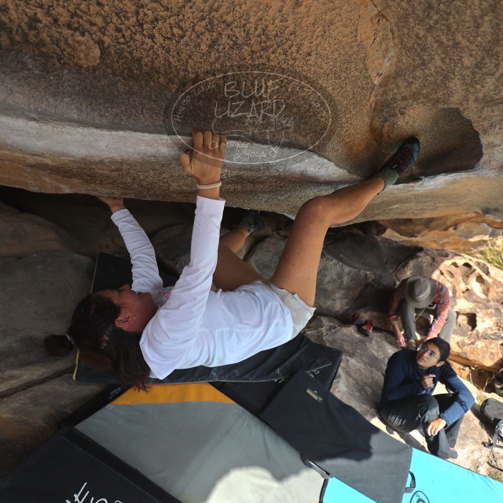 

Filename: SRM_20251128_1220290.jpg
Aperture: f/4.0
Shutter Speed: 1/500
Body: Canon EOS R6
Lens: Canon EF 16-35mm f/2.8 L