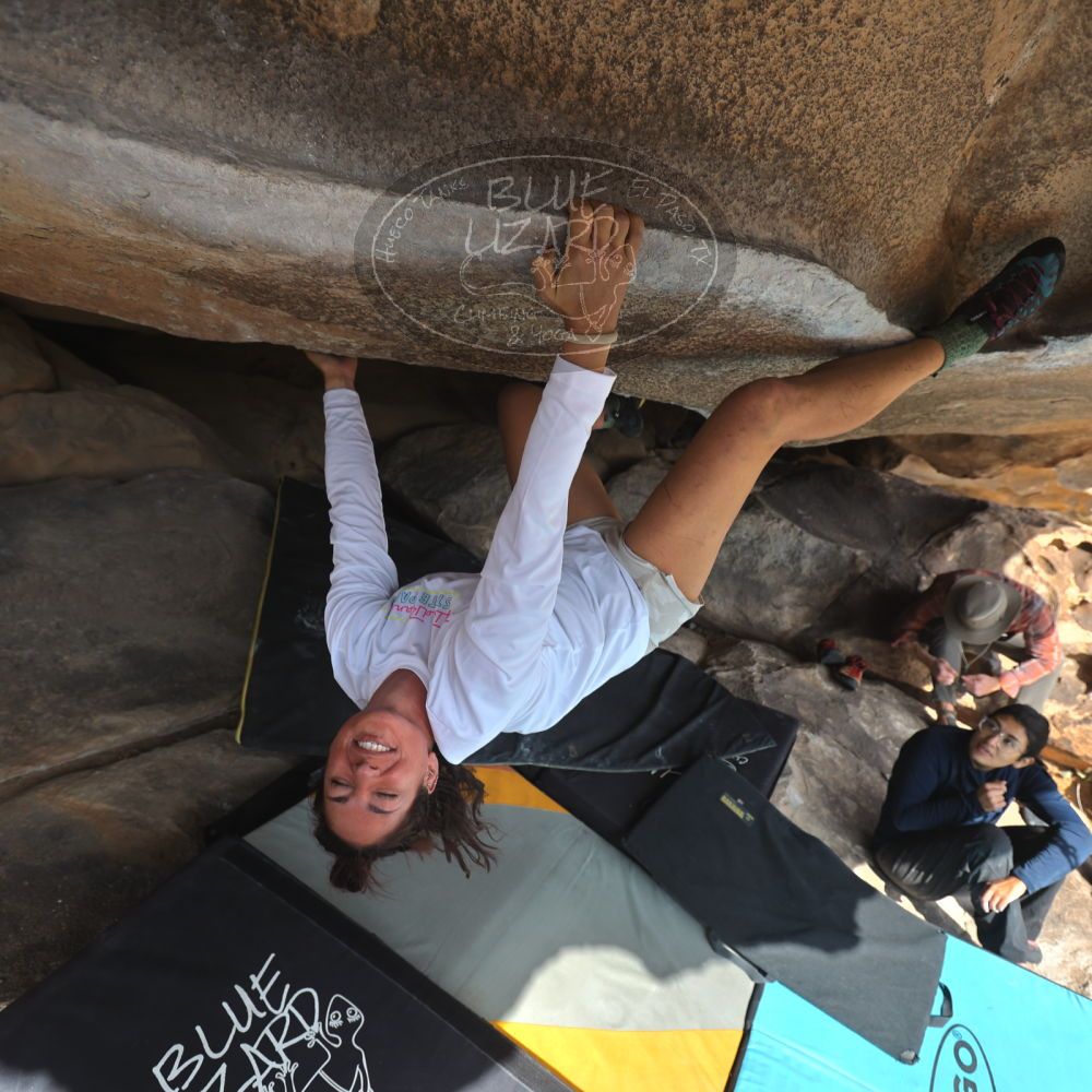 

Filename: SRM_20251128_1220310.jpg
Aperture: f/4.0
Shutter Speed: 1/500
Body: Canon EOS R6
Lens: Canon EF 16-35mm f/2.8 L