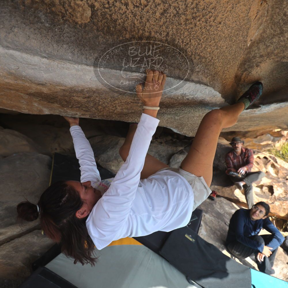 Filename: SRM_20251128_1220410.jpg
Aperture: f/4.0
Shutter Speed: 1/400
Body: Canon EOS R6
Lens: Canon EF 16-35mm f/2.8 L