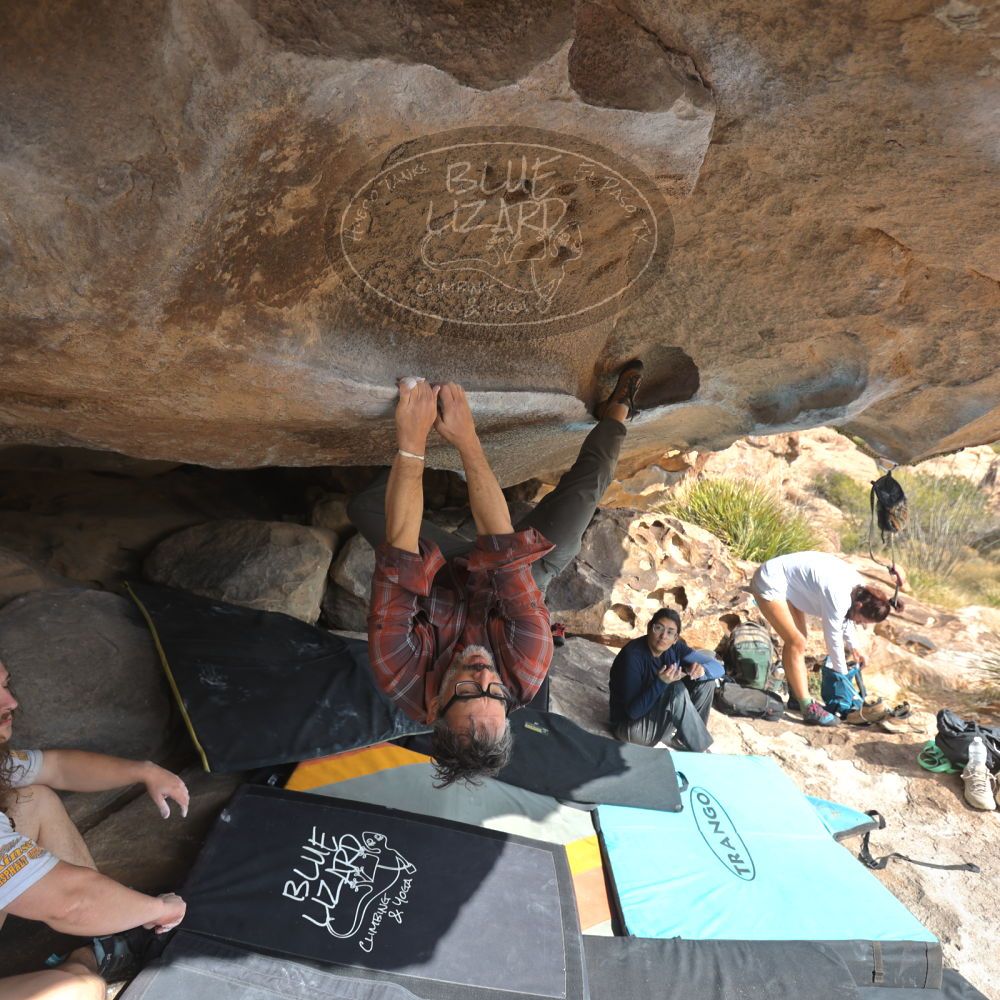 

Filename: SRM_20251128_1222220.jpg
Aperture: f/4.0
Shutter Speed: 1/400
Body: Canon EOS R6
Lens: Canon EF 16-35mm f/2.8 L