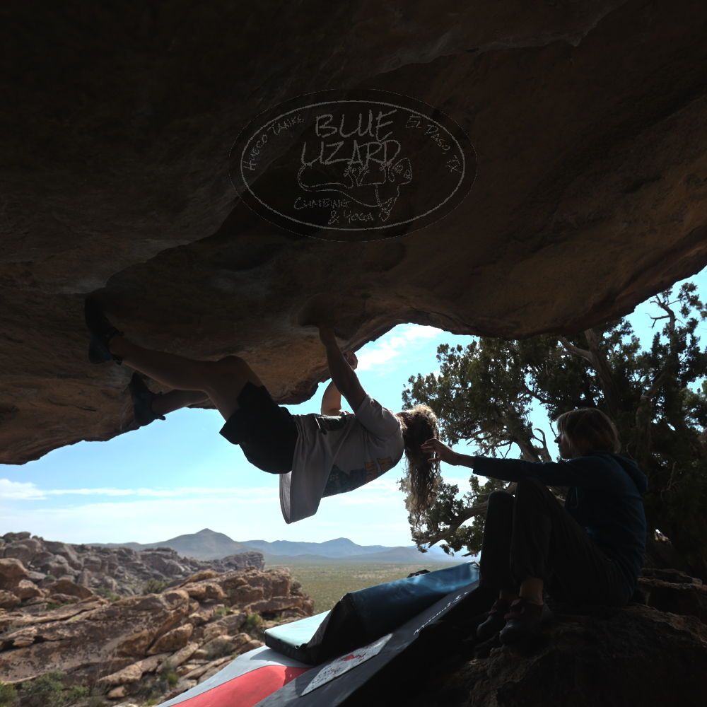 

Filename: SRM_20251128_1230140.jpg
Aperture: f/4.0
Shutter Speed: 1/1600
Body: Canon EOS R6
Lens: Canon EF 16-35mm f/2.8 L