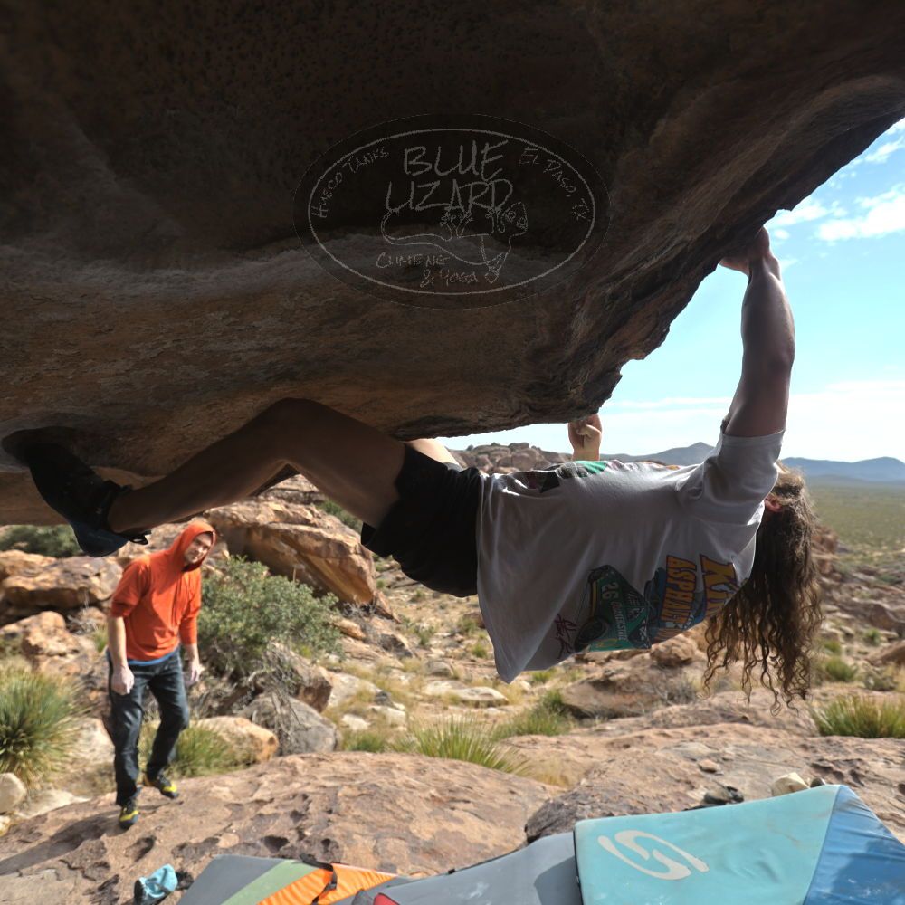 Filename: SRM_20251128_1230260.jpg
Aperture: f/4.0
Shutter Speed: 1/1000
Body: Canon EOS R6
Lens: Canon EF 16-35mm f/2.8 L