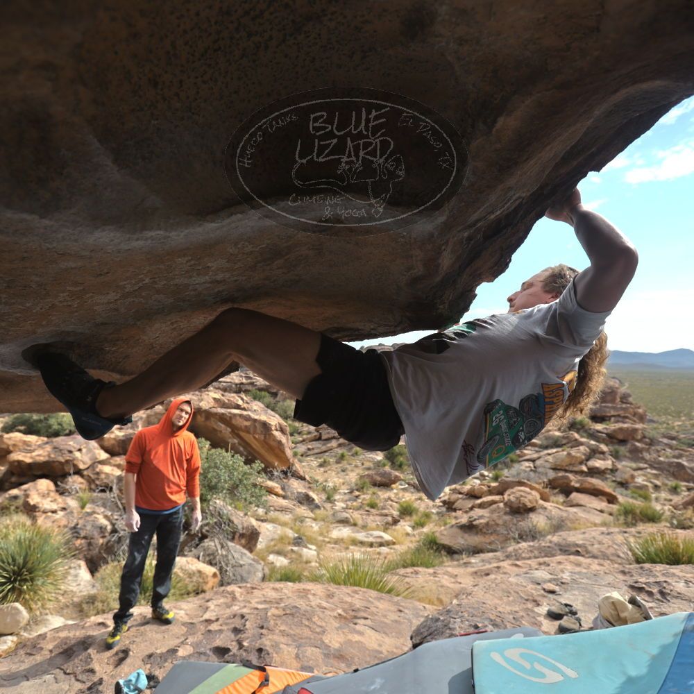 Filename: SRM_20251128_1230270.jpg
Aperture: f/4.0
Shutter Speed: 1/800
Body: Canon EOS R6
Lens: Canon EF 16-35mm f/2.8 L