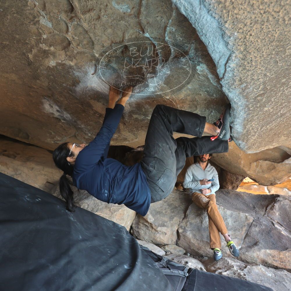 

Filename: SRM_20251128_1235570.jpg
Aperture: f/4.0
Shutter Speed: 1/100
Body: Canon EOS R6
Lens: Canon EF 16-35mm f/2.8 L