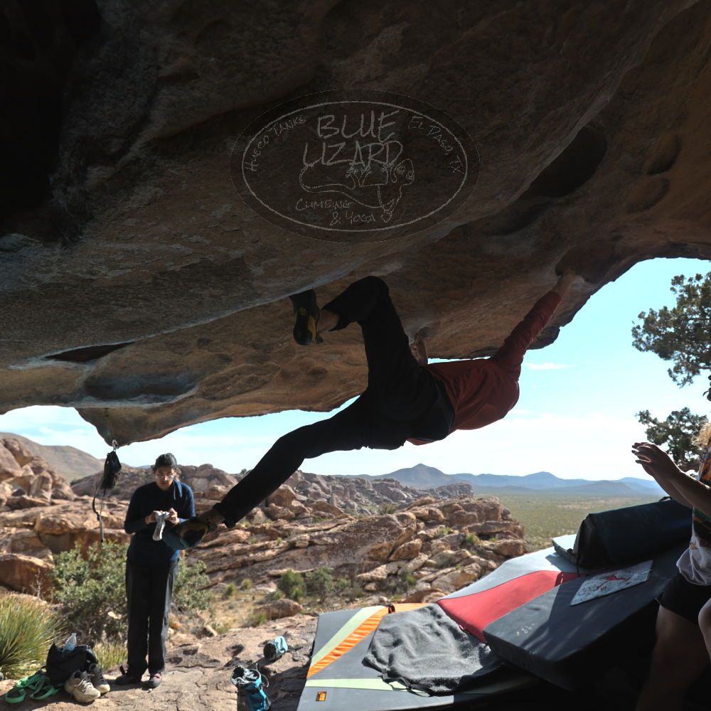 

Filename: SRM_20251128_1239090.jpg
Aperture: f/4.0
Shutter Speed: 1/1000
Body: Canon EOS R6
Lens: Canon EF 16-35mm f/2.8 L