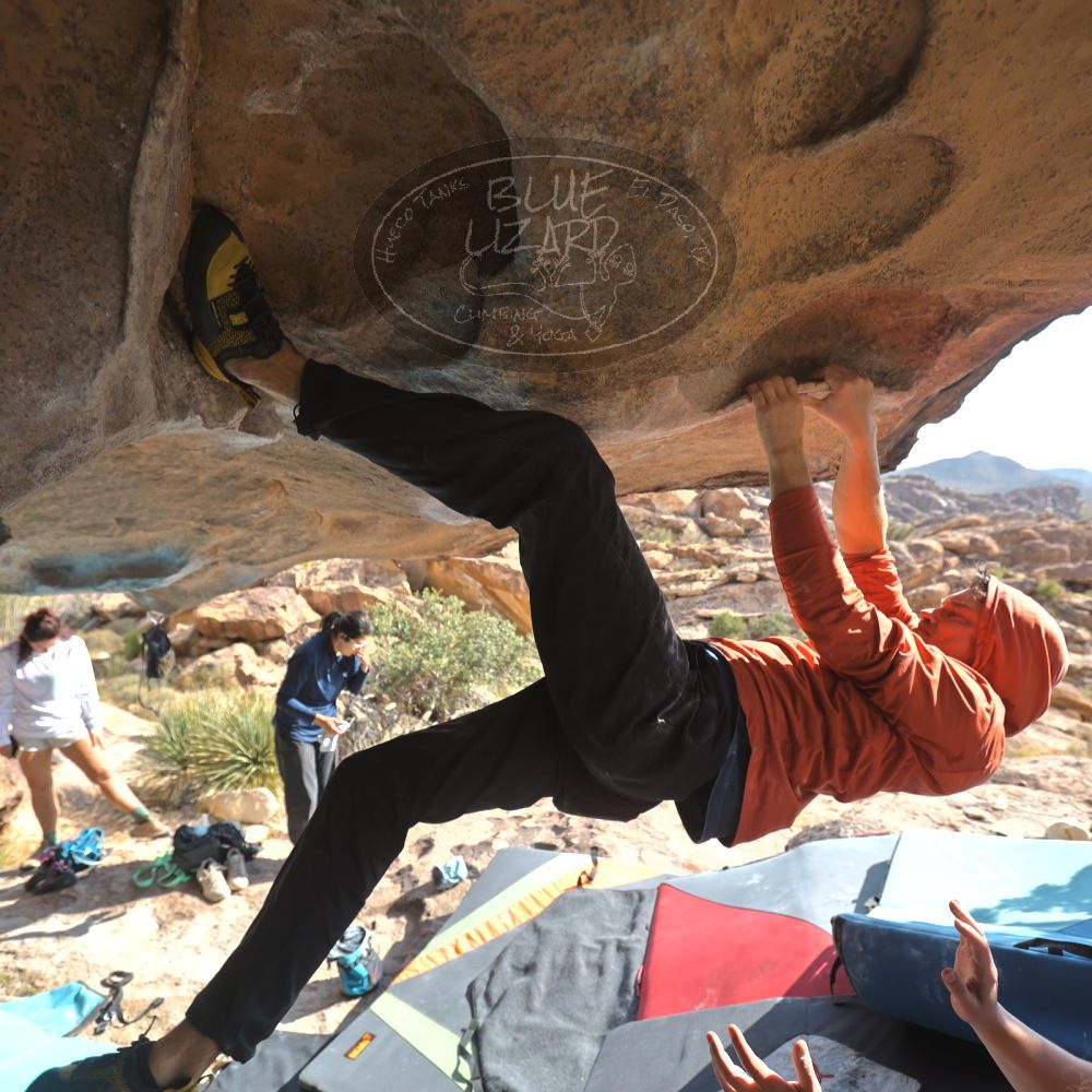 Filename: SRM_20251128_1239150.jpg
Aperture: f/4.0
Shutter Speed: 1/320
Body: Canon EOS R6
Lens: Canon EF 16-35mm f/2.8 L