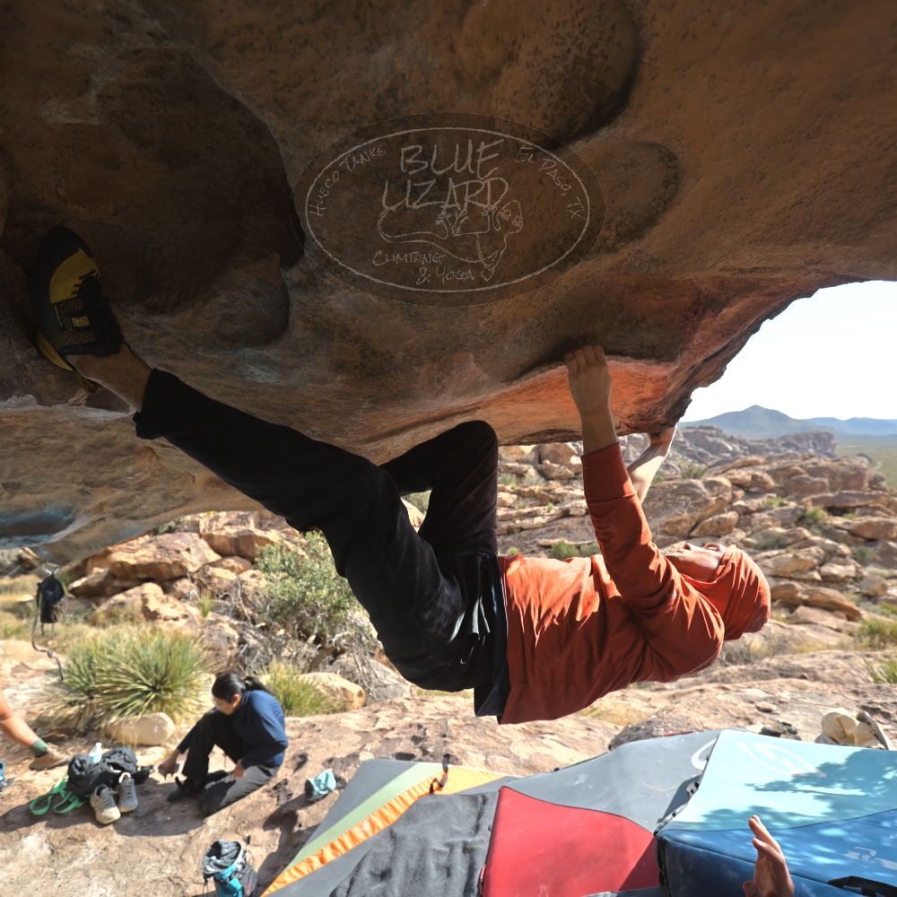 Filename: SRM_20251128_1239180.jpg
Aperture: f/4.0
Shutter Speed: 1/500
Body: Canon EOS R6
Lens: Canon EF 16-35mm f/2.8 L